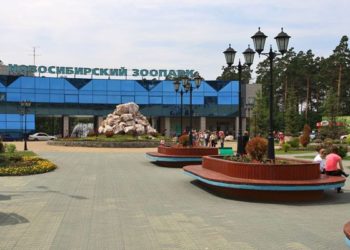 Новосибирский зоопарк продлил часы работы
