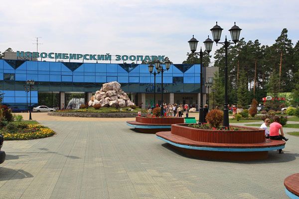 Новосибирский зоопарк продлил часы работы
