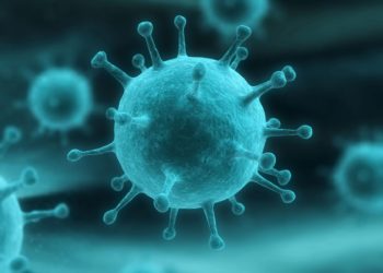 Новосибирские физики нашли способ быстрого определения гепатита и различных вирусов