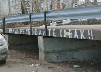 Новосибирскому догхантеру выписали штраф за стрельбу в неположенном месте