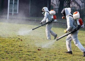 Места массового отдыха новосибирцев обработают от клещей к майским праздникам