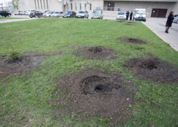 Неизвестные вырвали высаженные ветеранами ко Дню Победы ели в соседнем Барнауле