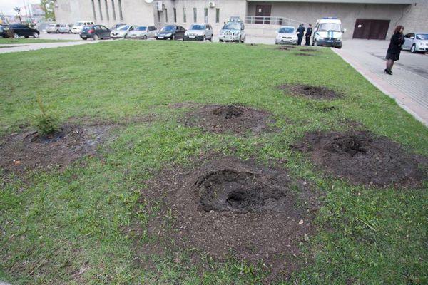 Неизвестные вырвали высаженные ветеранами ко Дню Победы ели в соседнем Барнауле