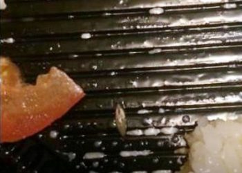 Девушка чуть не съела ролл с живым слизнем в Новосибирске