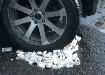 Ямы на дорогах в соседнем Барнауле засыпали зубными слепками (фото)