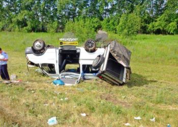 В Новосибирской области произошло ДТП с участием 17 человек, включая 12 детей