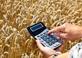 Директор «АгроС» осужден за попытку похитить почти пять миллионов бюджетных рублей