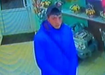 Похититель мягких игрушек из цветочных павильонов задержан с помощью новосибирцев