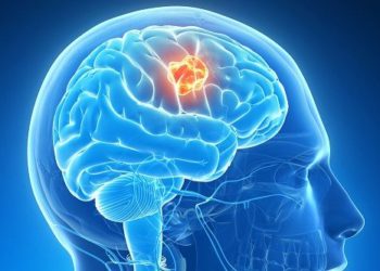 Ученые Новосибирска смогли уничтожить раковые клетки на 99%