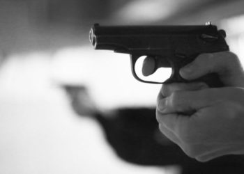 Ранивший первоклассницу в Новосибирской области заявил, что стрелял по кошкам