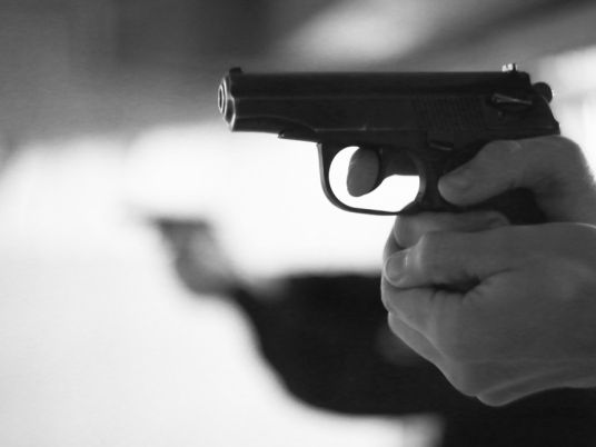 Ранивший первоклассницу в Новосибирской области заявил, что стрелял по кошкам