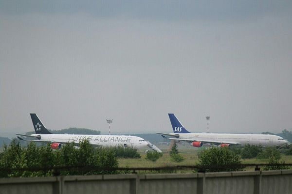 Пассажиры рейса «Шанхай-Копенгаген» почти сутки проживут на скамейках в Толмачево