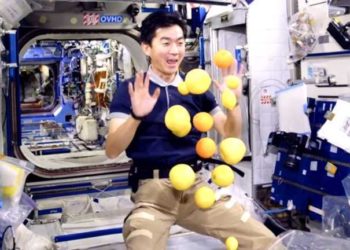 Новосибирцев зовут на праздник кино IMAX