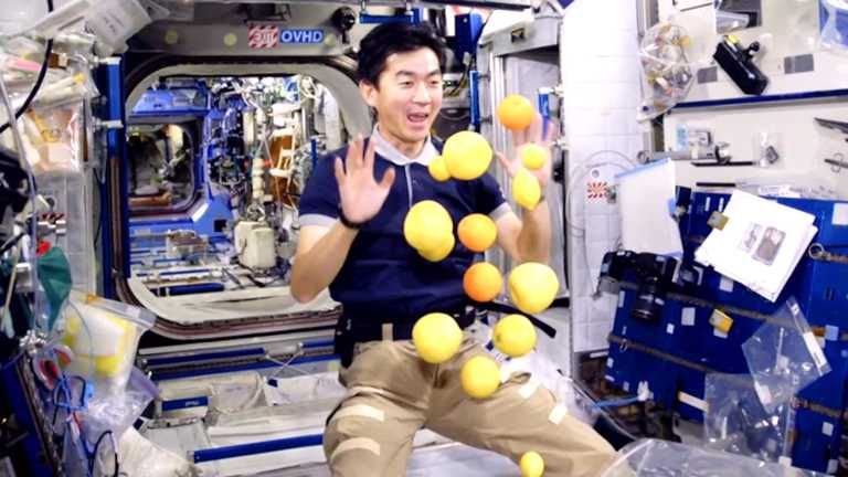 Новосибирцев зовут на праздник кино IMAX