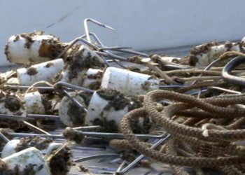 На дне Оби в Новосибирске обнаружены тысячи браконьерских самоловов