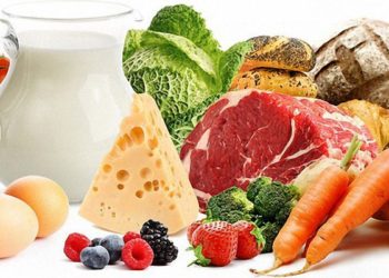 Магазинам и общепитам Новосибирска излишки продуктов предложено сдавать в банк еды