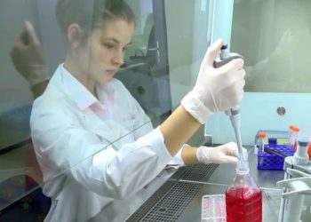 Искусственную человеческую кожу начали выращивать новосибирские ученые