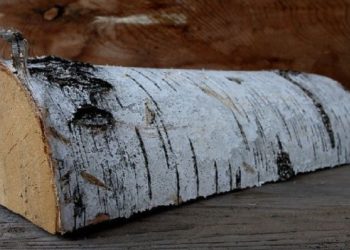 Житель НСО ударил пенсионерку поленом и перерезал ей шею ради восьми тысяч рублей