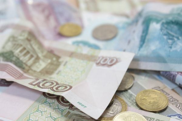 Многодетным новосибирцам без официального трудоустройства откажут в пособии на детей