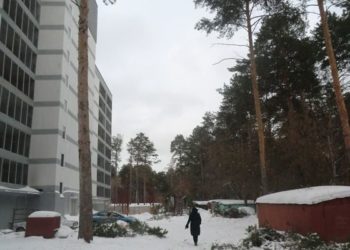 Гектар соснового бора в черте Новосибирска готовят к аукциону для дальнейшей застройки