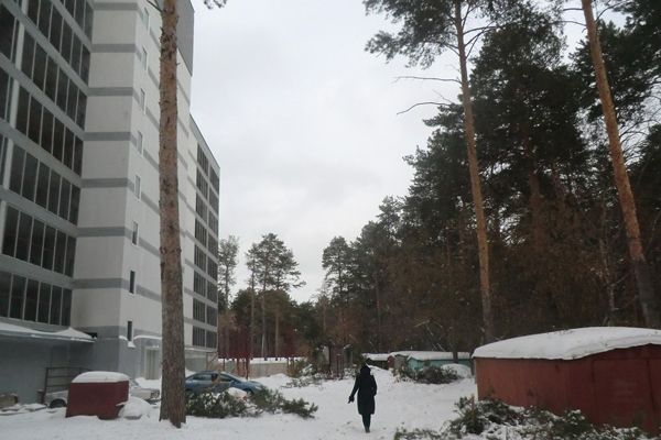 Гектар соснового бора в черте Новосибирска готовят к аукциону для дальнейшей застройки