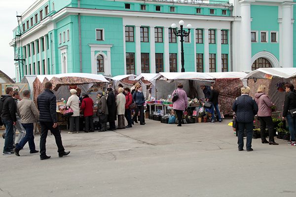 Увеличение штрафов за стихийную торговлю в 10 раз обсудят в новосибирском Заксобрании