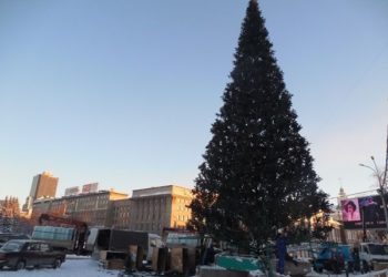 Новогодняя ёлка появилась на главной площади Новосибирска