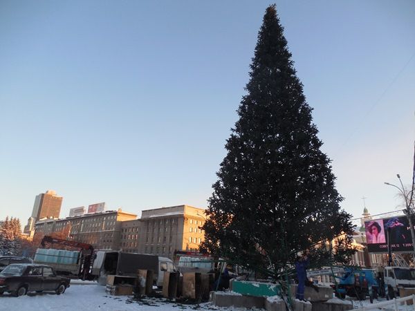 Новогодняя ёлка появилась на главной площади Новосибирска