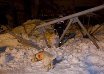 Почти 500 тонн снежной массы продавили крышу конного клуба под Новосибирском