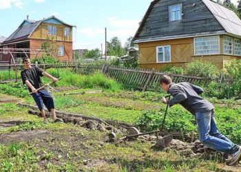 Дачная амнистия для новосибирцев подорожала в десятки раз