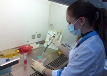 Модель болезни Хантингтона, вызывающей распад личности, воссоздали новосибирские ученые