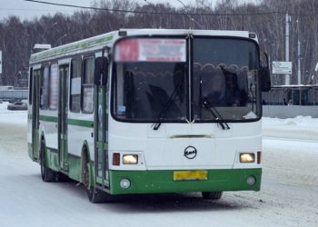 Молодую мать с двумя детьми зажало в дверях автобуса в Новосибирске