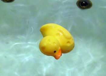 В Новосибирске полуторагодовалый ребенок умер во время купания в ванне