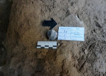 Открытие новосибирских археологов перевернуло представление о развитии мезолита в Центрально Азии