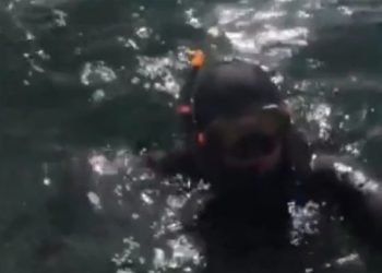 Двое водолазов задержаны в Новосибирске за незаконную подводную охоту