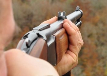 Новосибирец застрелил из карабина соседа, потушившего горящую траву