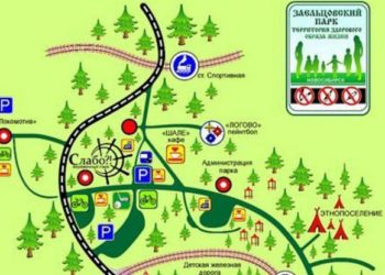 Заельцовский парк Новосибирска загнали в долги