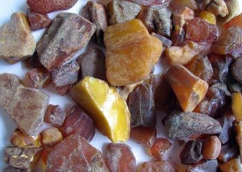 Китайцы пытались вывезти из Новосибирска почти 300 килограммов янтаря (видео)