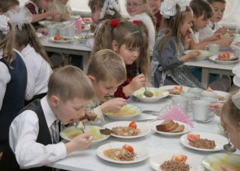 Качество питания в школьных столовых Новосибирска рассмотрит полпред президента