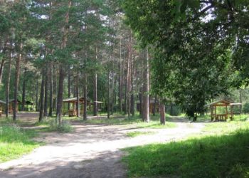 «Заельцовский парк» допустил самовольное строительство и теперь должен инвестору 37 миллионов