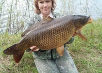 Гигантского сазана поймала рыбачка из Новосибирска