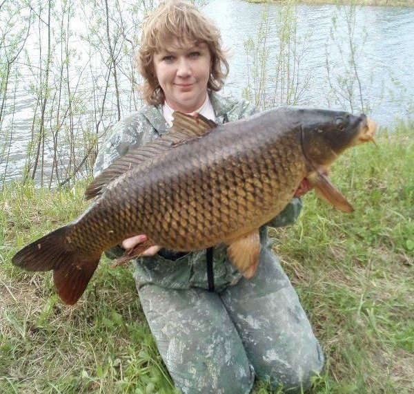 Гигантского сазана поймала рыбачка из Новосибирска
