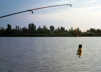 Мужчина скончался под Новосибирском после взмаха удочкой во время рыбалки