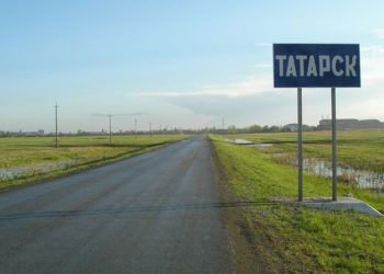 Двое суток без сознания пролежала в квартире избитая сыном жительница Татарска