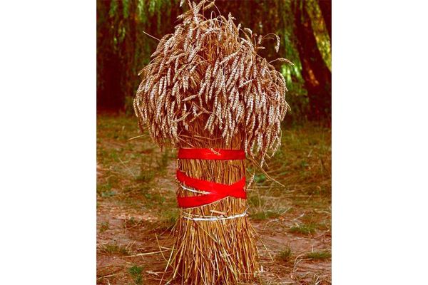 В Новосибирске скульптурами из сена отметят то, чего нет и не было