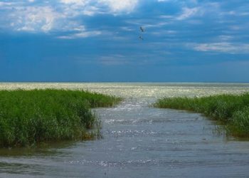 Лодка с новосибирцами налетела на острый предмет в полукилометре от берега