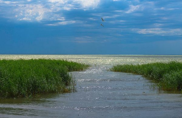 Лодка с новосибирцами налетела на острый предмет в полукилометре от берега