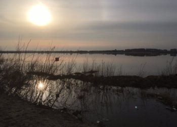 Последний заплыв. 59 новосибирцев утонули минувшим летом на водоемах региона