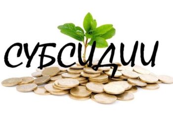 Дела глав новосибирских юркомпаний, присвоивших госсубсидии, одно за другим передаются в суд