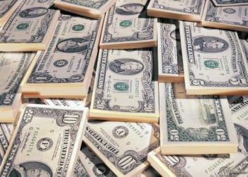 Пять лет колонии получил новосибирец за попытку вывоза миллиона долларов